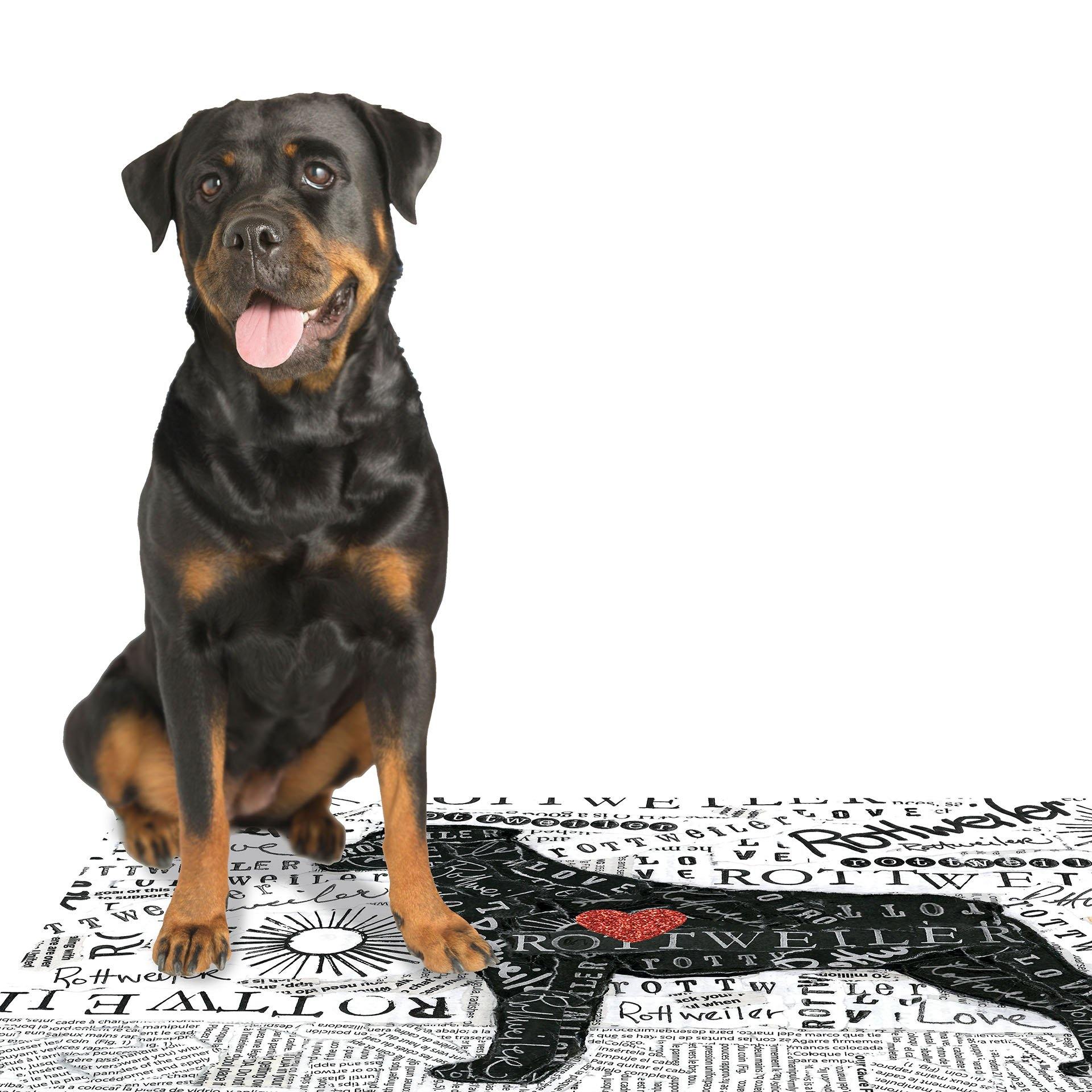 Rottweiler PetFlat - Carolina Creekhouse Easy to Clean Premium Vinyl Mats 