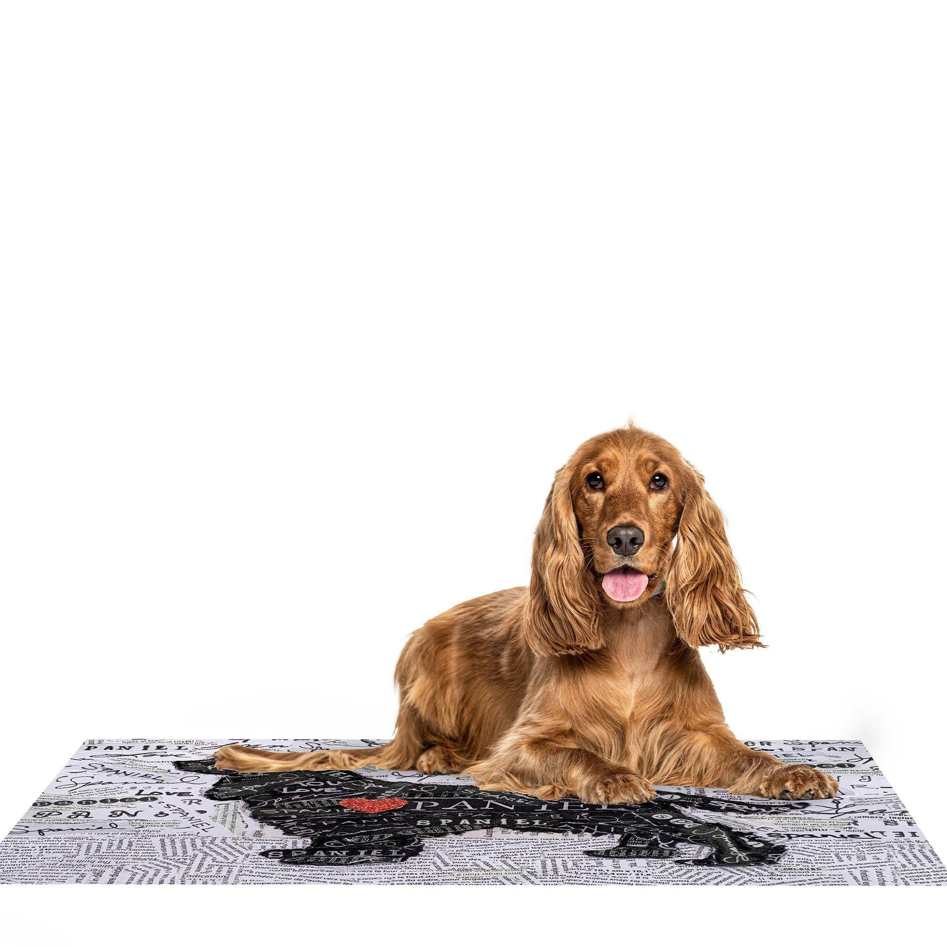 https://www.carolinacreekhouse.com/cdn/shop/products/Carolina-Creekhouse-spaniel-dog.jpg?v=1629212509